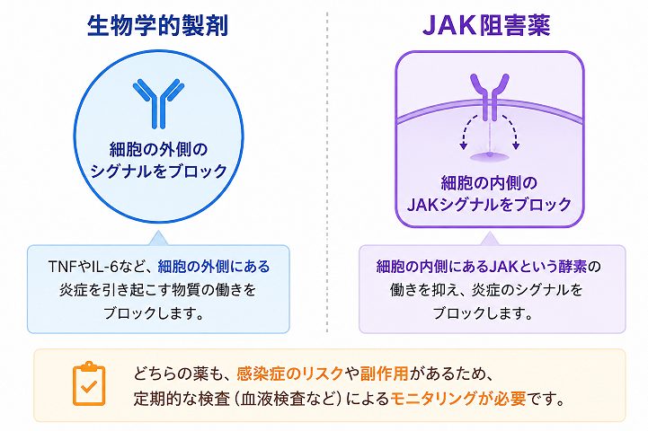 関節リウマチの生物学的製剤とJAK阻害薬の作用部位の違いを示す図