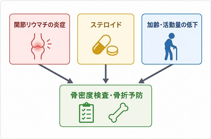 関節リウマチとステロイド使用による骨粗鬆症・骨折リスクの図